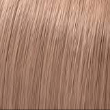 Wella Professionals Color Touch 8/35- Biondo Chiaro Dorato Mogano