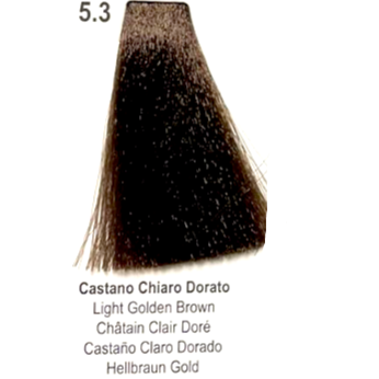 Koster Cream Color 5.3- Castano Chiaro Dorato